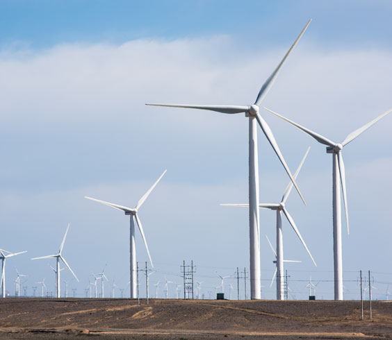 1633178008141588.jpg 1-210421091R6459.jpg