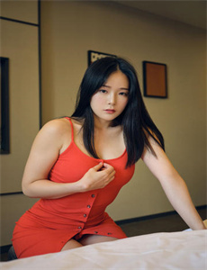 六发子弹的手枪